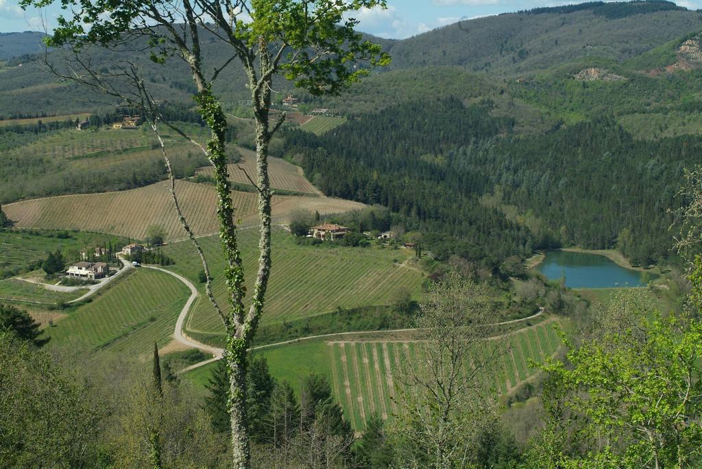 Agriturismo Vinci Gaiole in Chianti Exterior photo